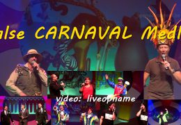Halse carnaval medley (live)